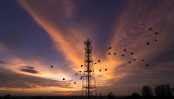 Silhouettes telecommunication tower at sunset. Beautiful sky with birds flying